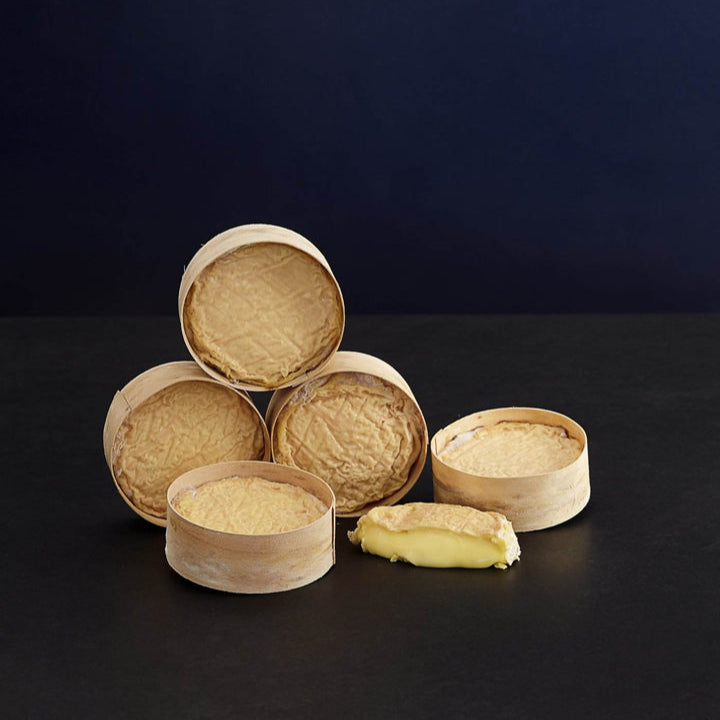 St Cera - IFFLEY ROAD