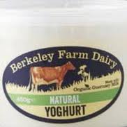 Organic Guernsey Yoghurt 450ml